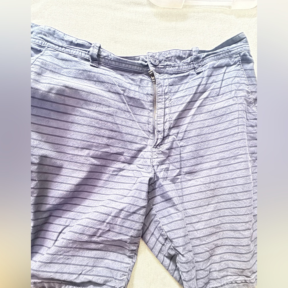 Express Blue Striped Shorts - Large